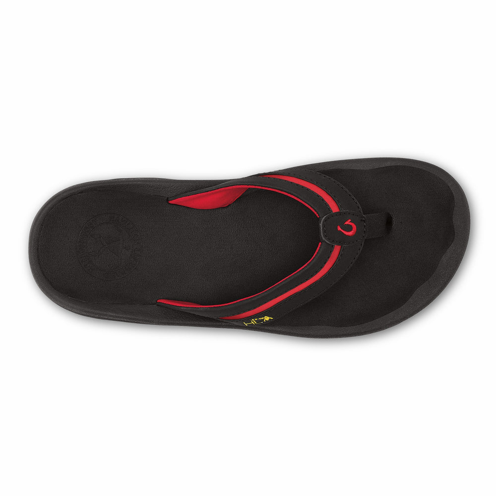 'Ohana Palua - Lava Rock / HLA
