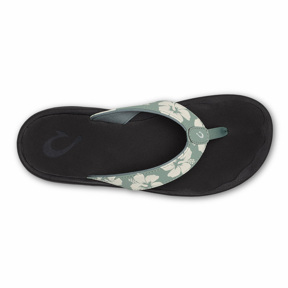 ‘Ohana - Silver Pine / Pua